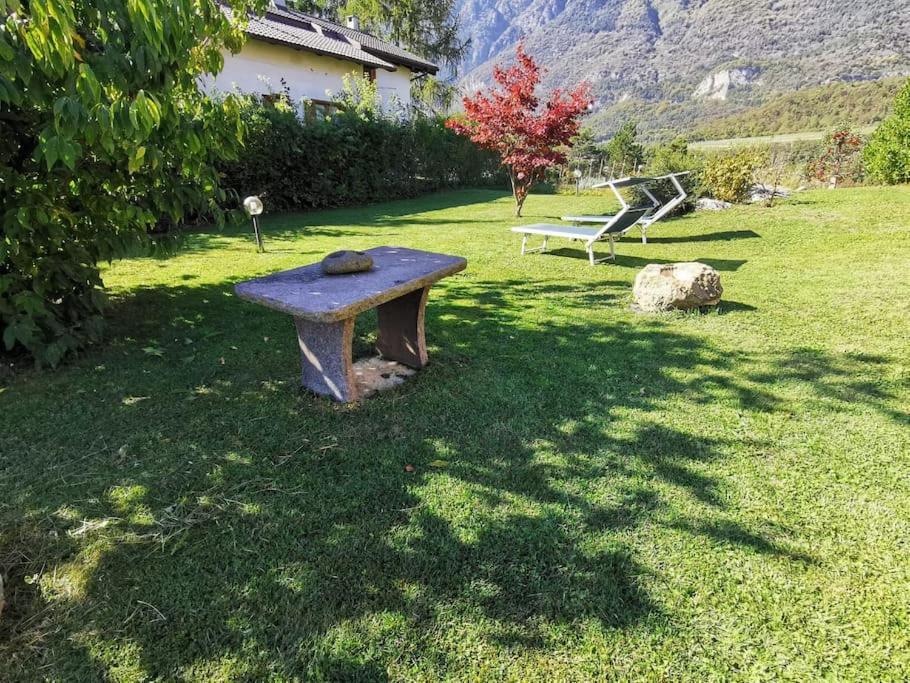 Apartment Villi *