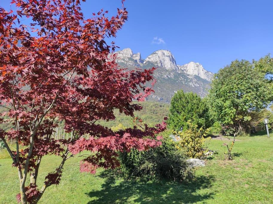 Apartment Villi